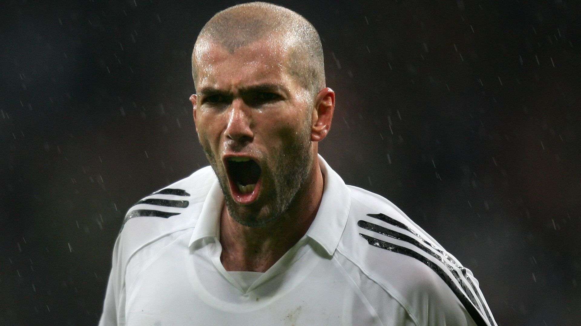 上海嘉定汇 上海嘉定汇